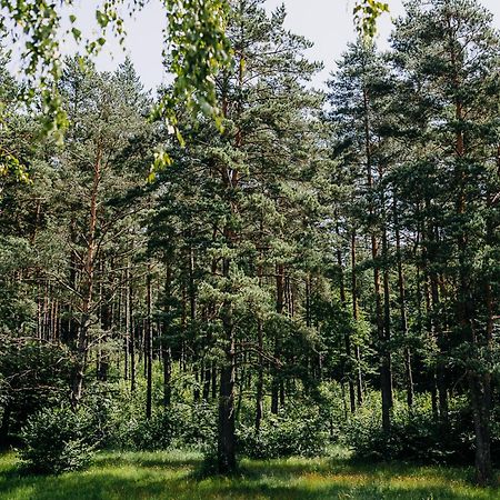 Mysliwska Chata Na Skraju Lasu Villa Wojtkowa Exterior photo