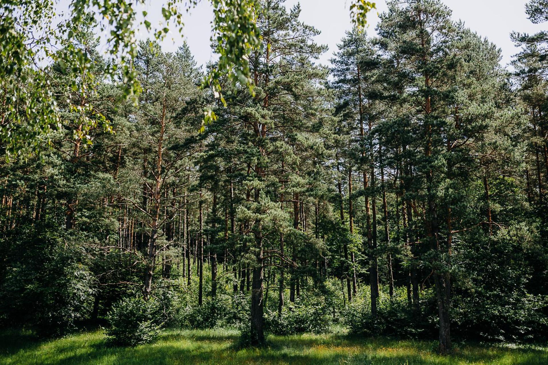 Mysliwska Chata Na Skraju Lasu Villa Wojtkowa Exterior photo